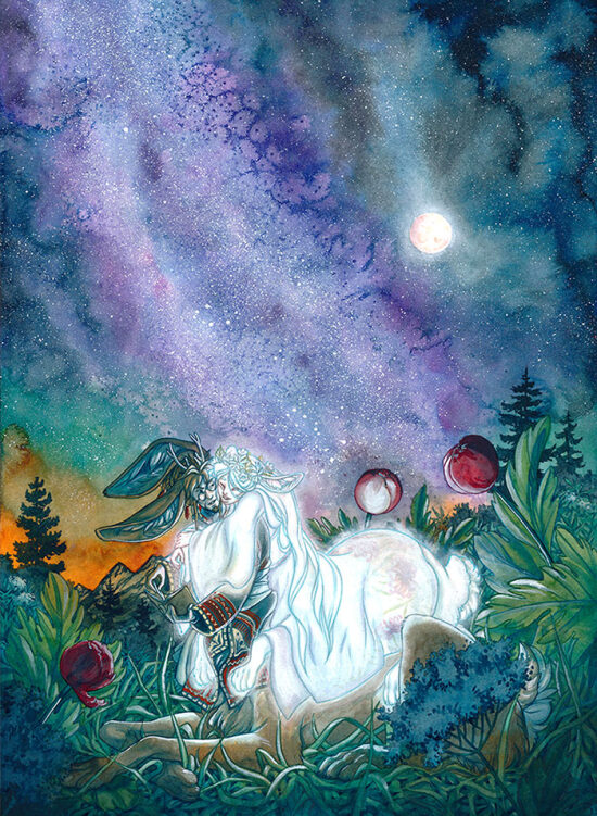 Illustrations